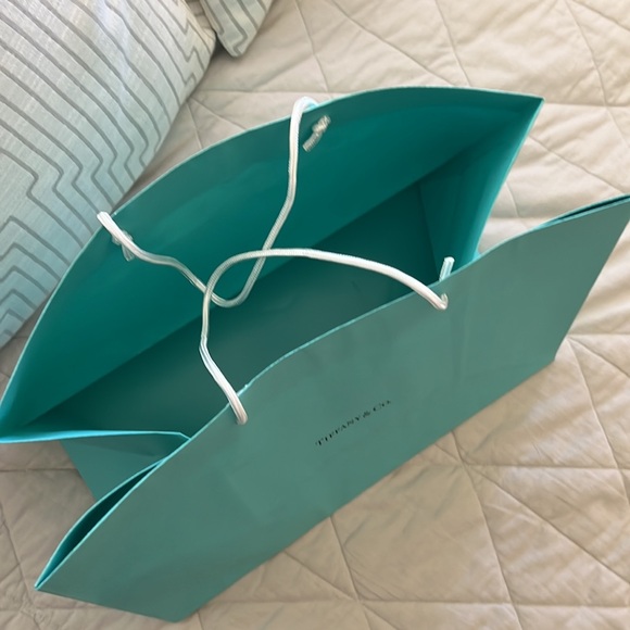 Tiffany & Company Shopping Gift Bag tote - Picture 4 of 16
